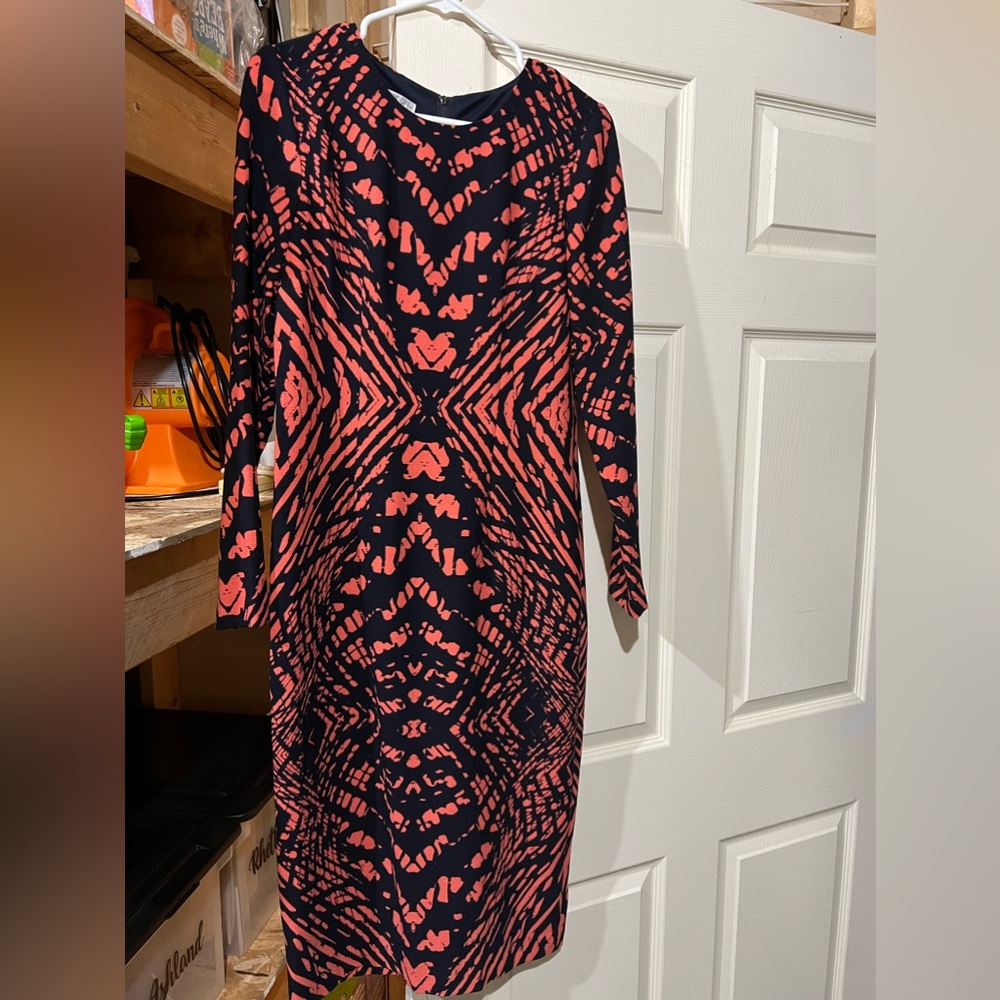 STUNNING Long Sleeve Sheath
